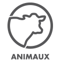 Animal Feed fr