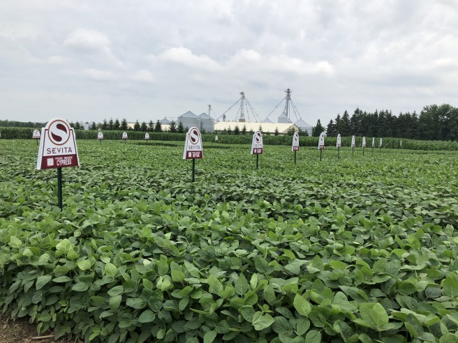 Woodstock Ontario Soybean Demonstration Plot